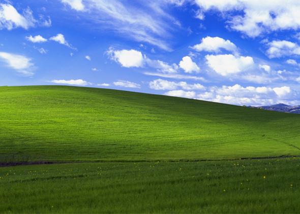 who took the windows xp background picture