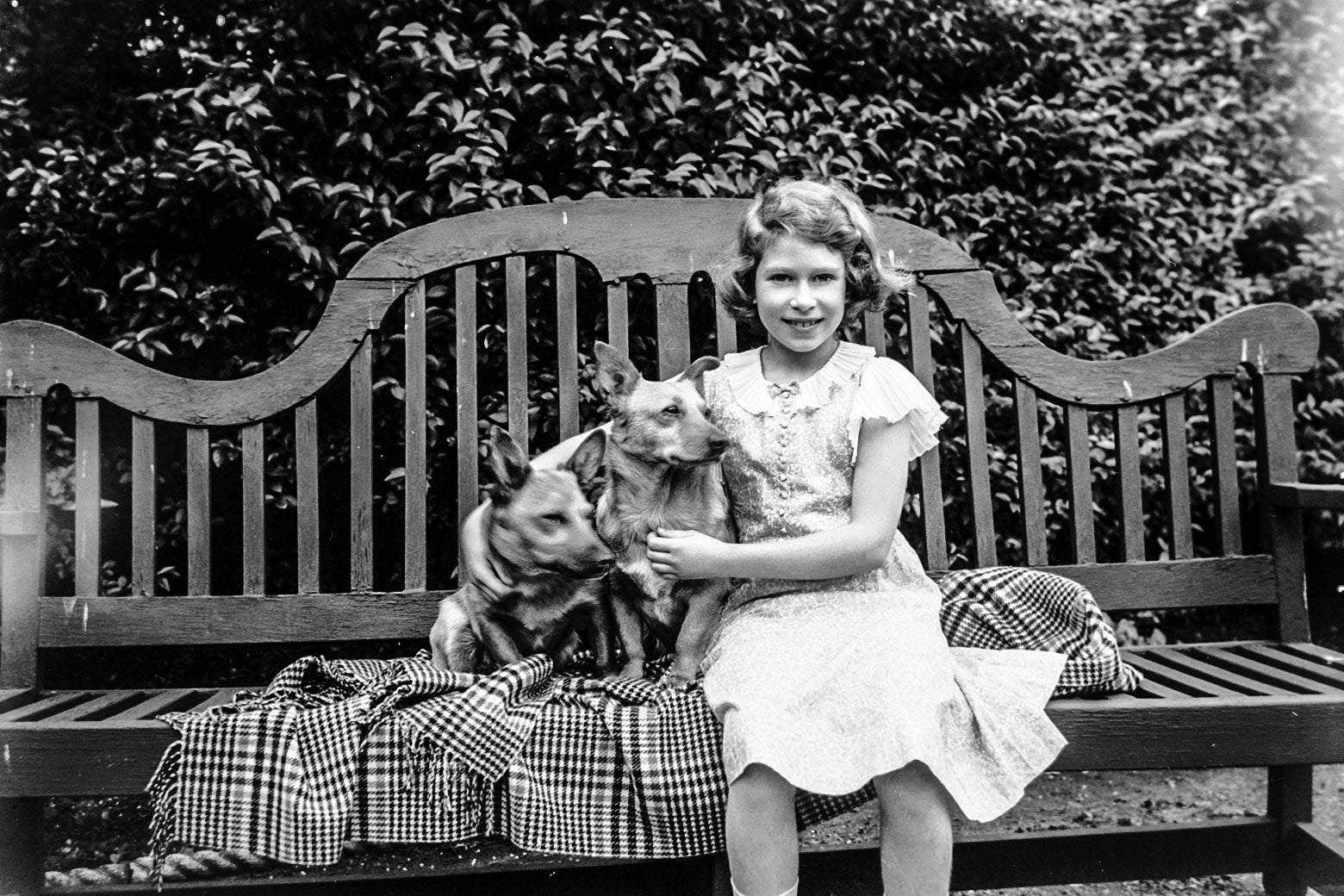 A girl sitting on a bench with two corgi dogs. 