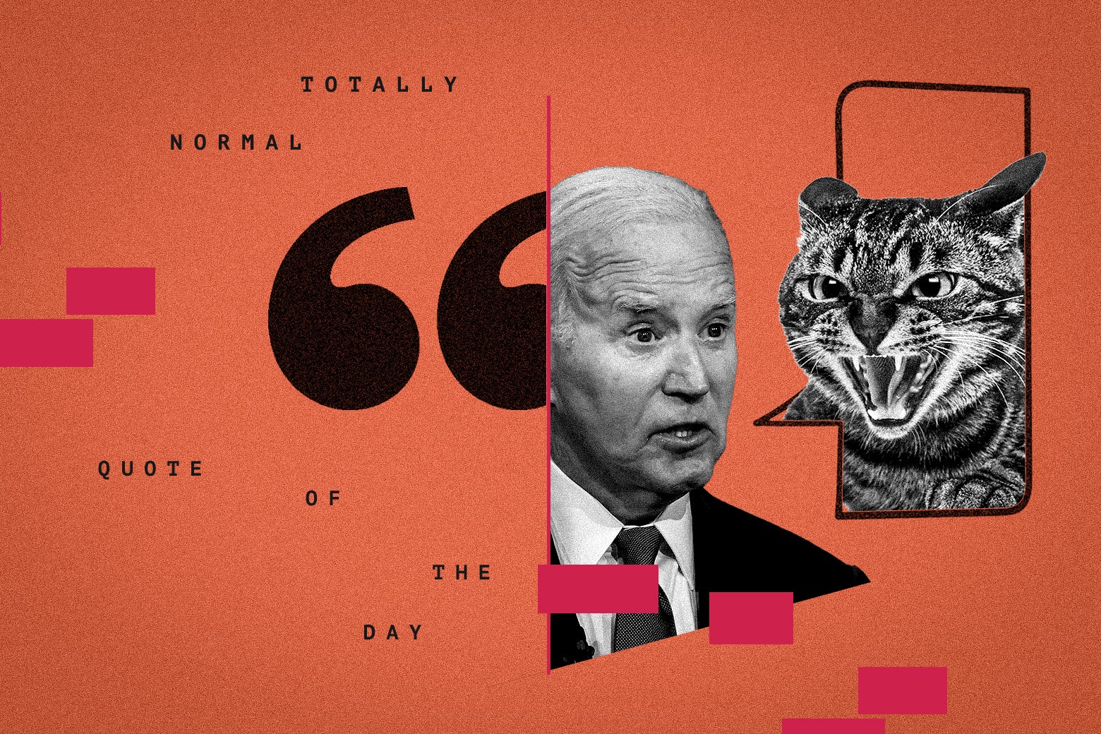 Biden and a snarling cat on Slate's 