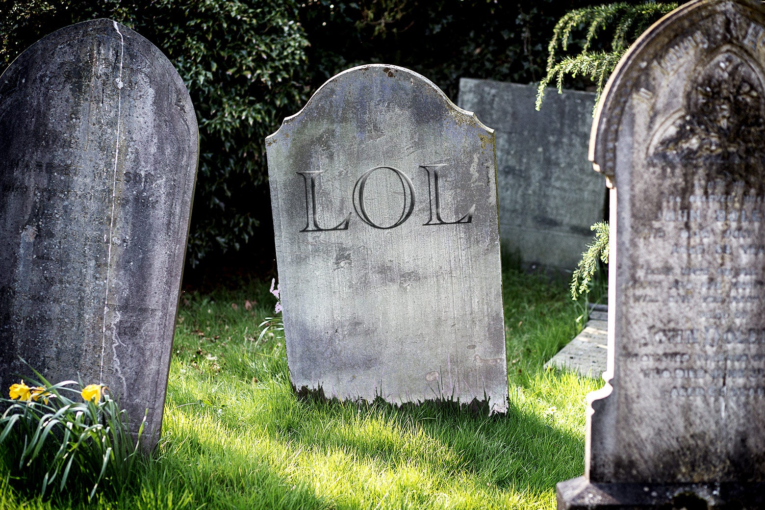 A tombstone in a brightly lit green grass cemetery graveyard with the word LOL inscribed on it. 