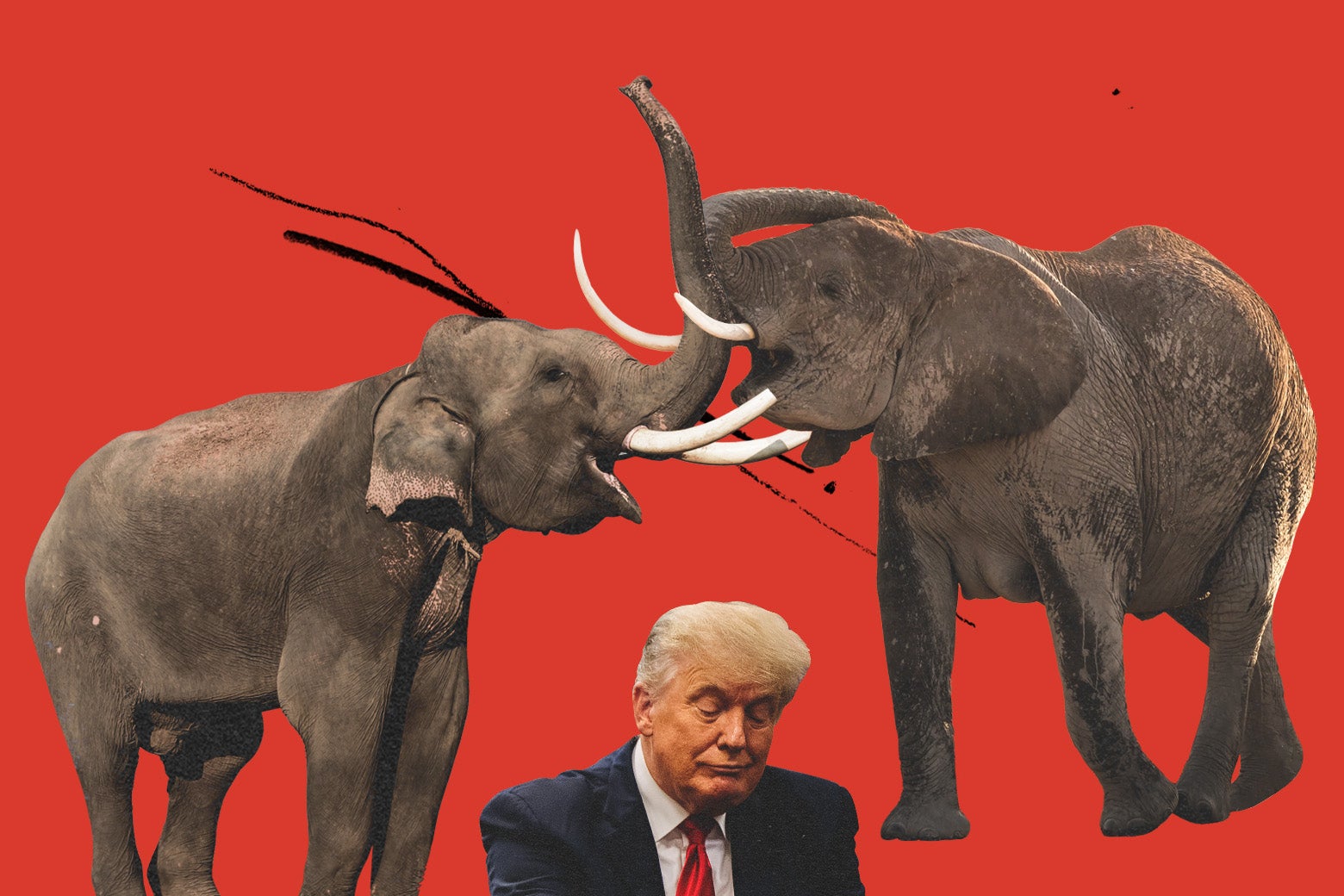Donald Trump news: the Meltdown in Michigan says it all about where MAGA is headed.