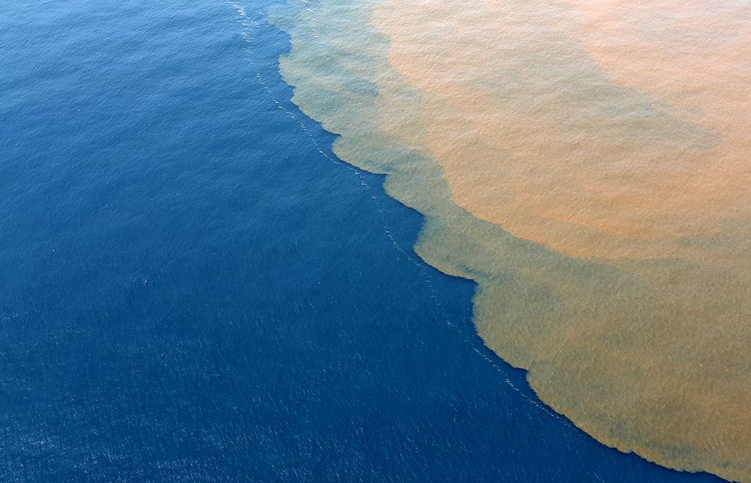 Brazil's mining dam disaster photos.