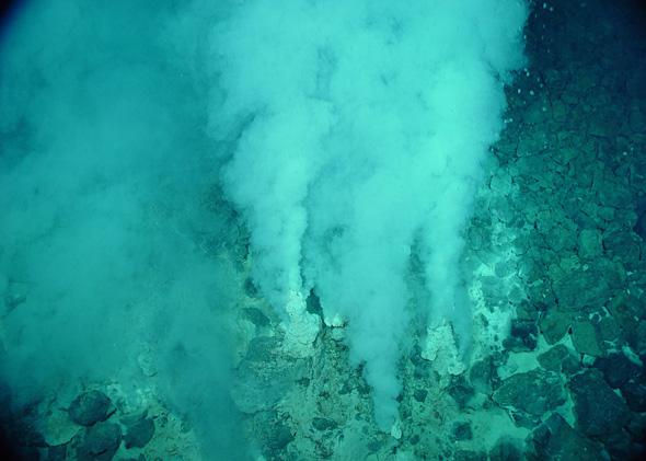White smokers at the Champagne vent in the Marianas Trench Marine National Monument.