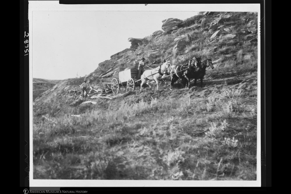 Black and white photo of a cart dragging a stone block over a grassy ridge