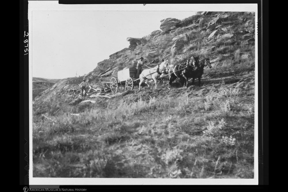 Black and white photo of a cart dragging a stone block over a grassy ridge