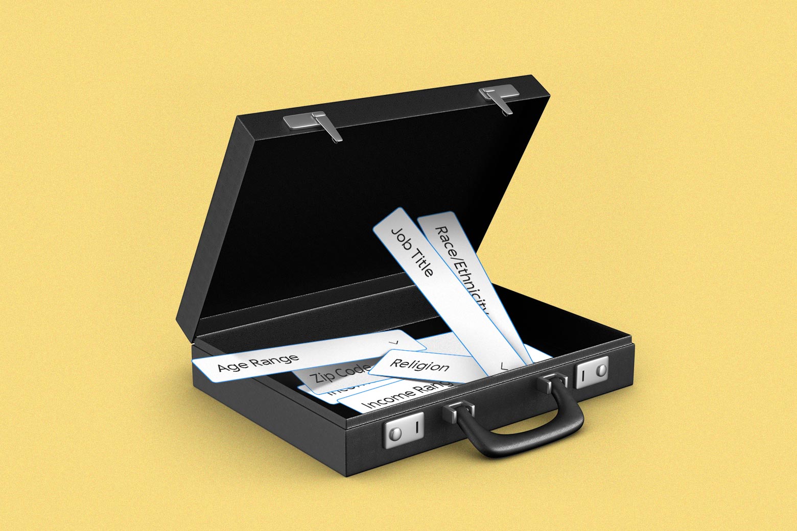 An open briefcase with slips of paper spilling out that read "job title," "age range," "religion," "race/ethnicity," and "ZIP code." 