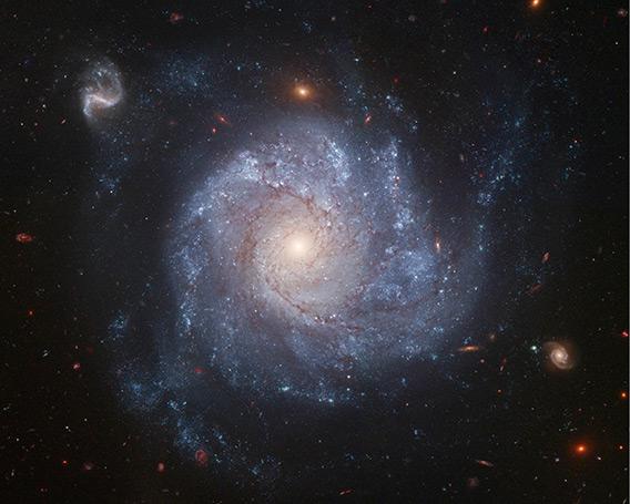 Hubble view of the galaxy NGC 1309