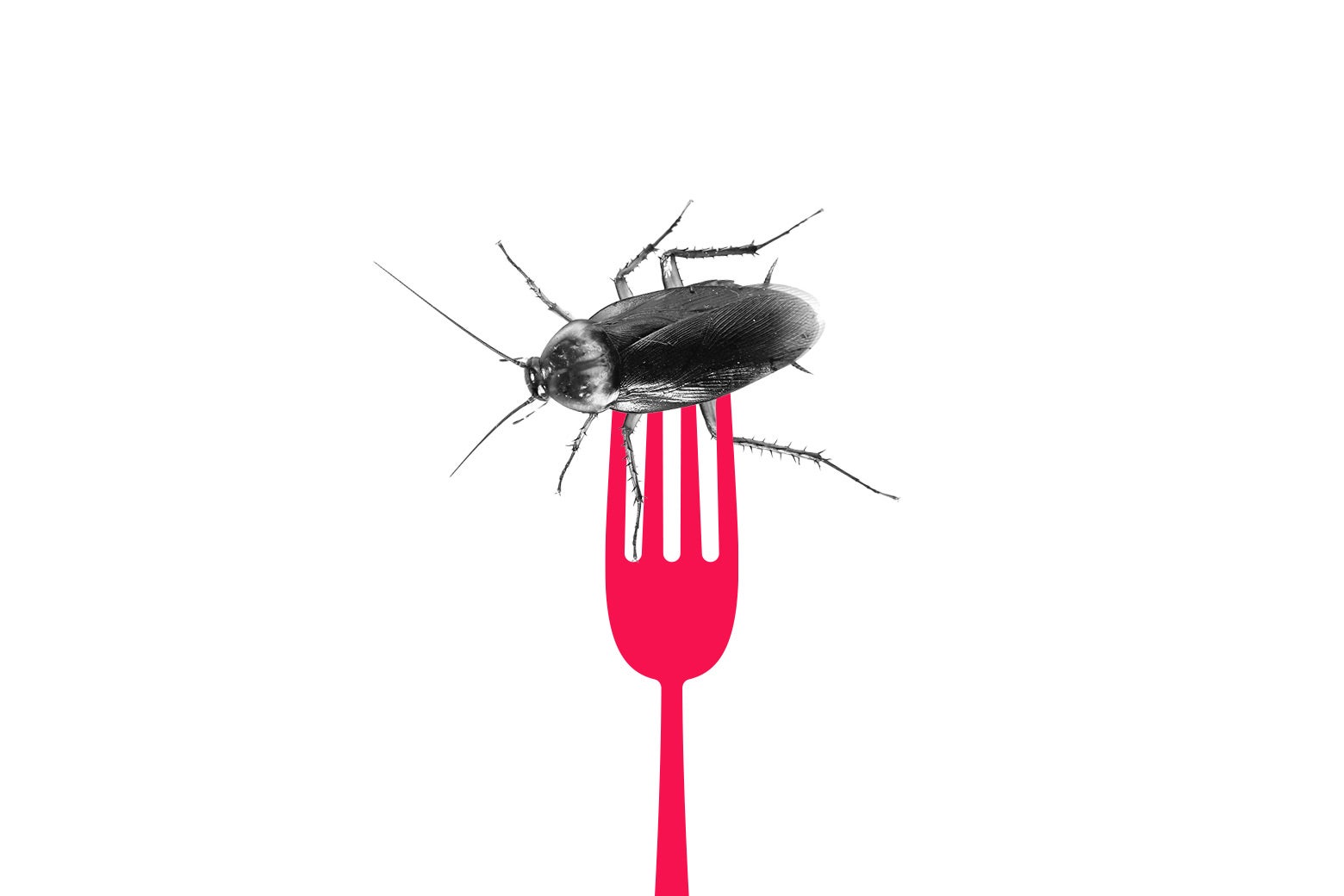 Help! My Wife Made a Scene at a Nice Restaurant. Then I Learned It Was Her Wicked Plan All Along.