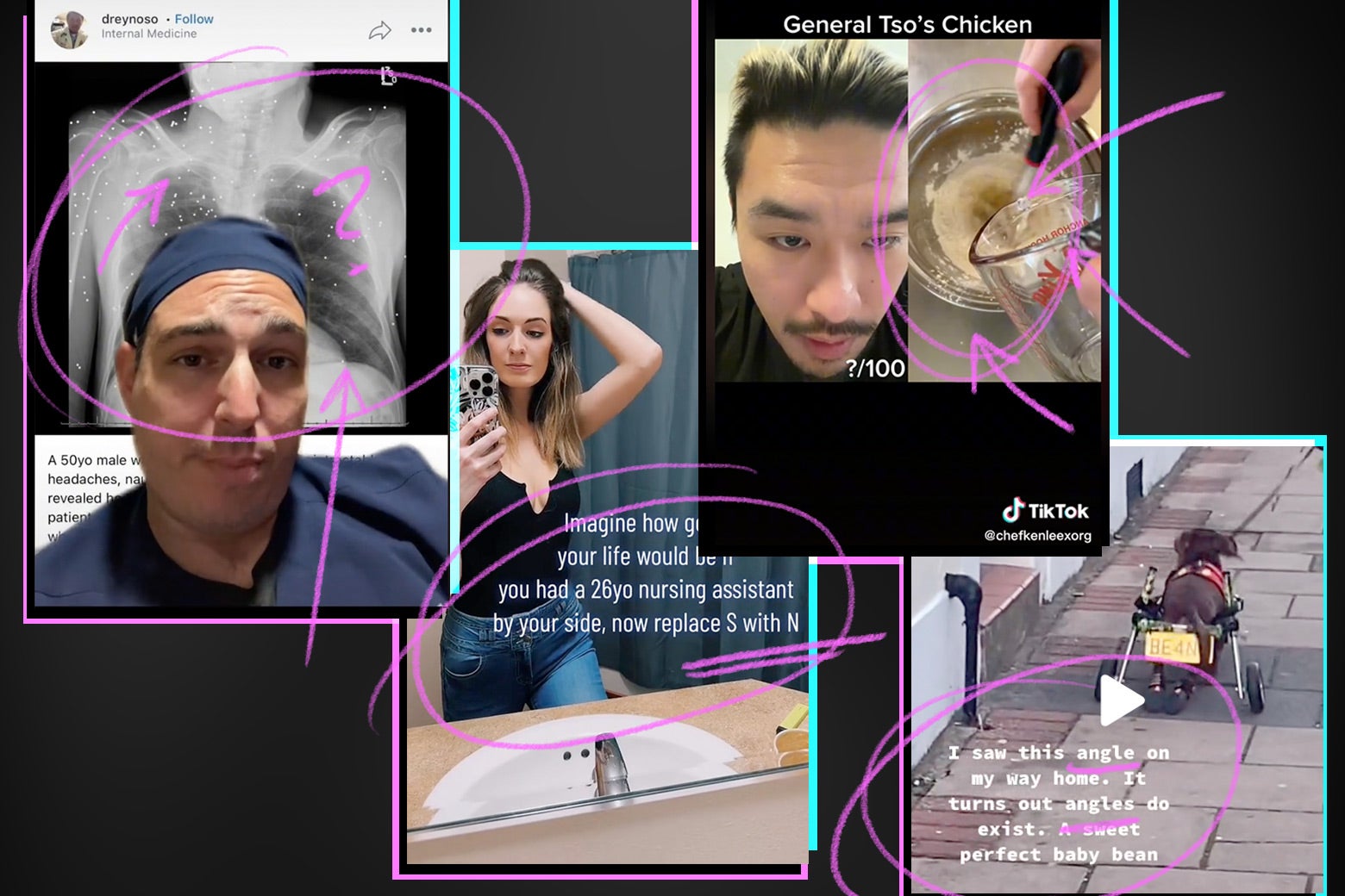 A collage of four TikTok screenshots: One of a doctor standing in front of an MRI, another of a young woman taking a selfie in a bathroom mirror, another of a chef reviewing a recipe, and a final of a dog with the caption "I saw this little angle on my way home."
