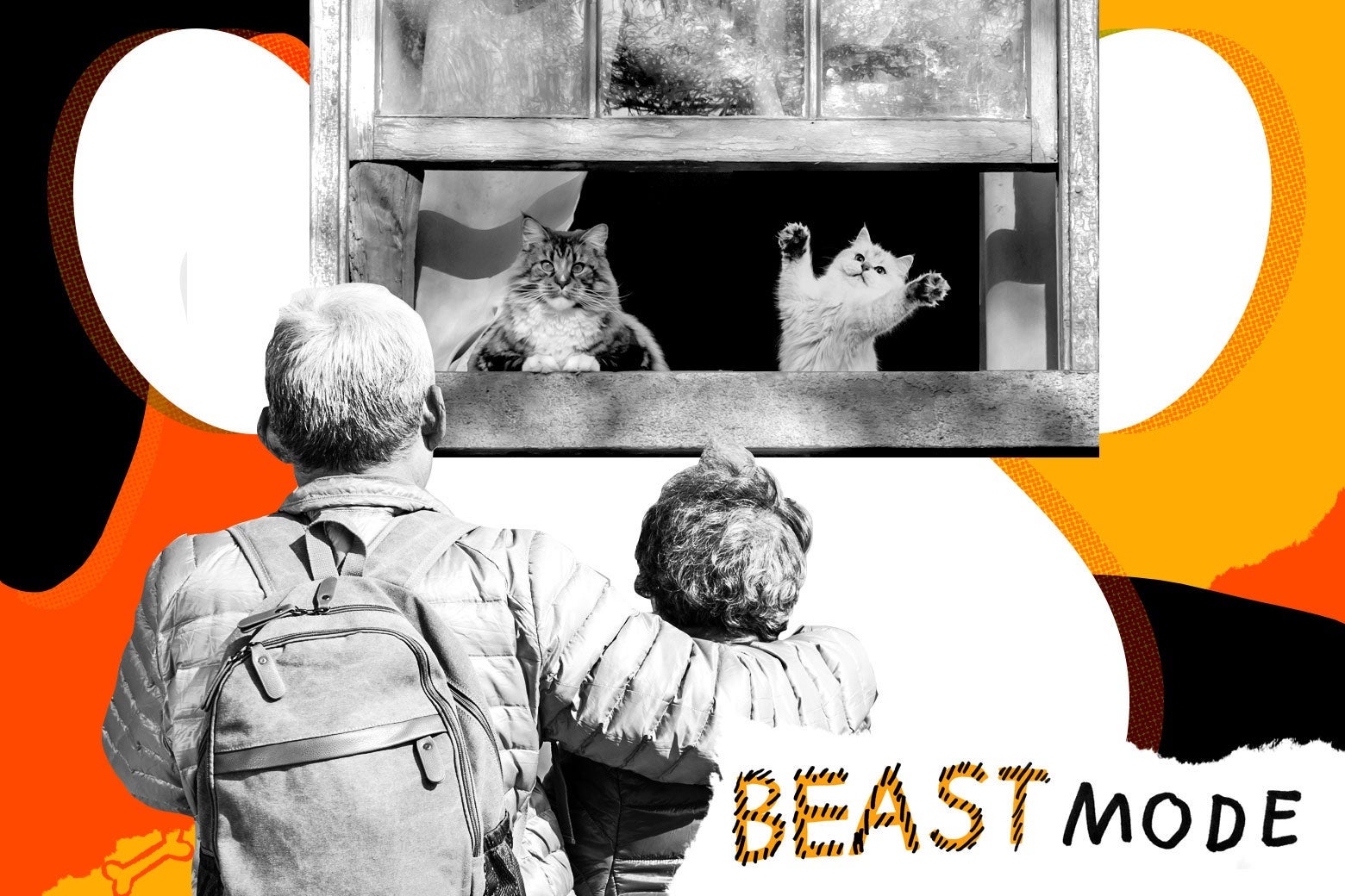Photo illustration of an older couple watching a pair of cats through a window.
