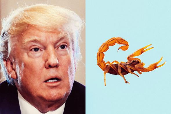 Donald Trump, a Scorpion.