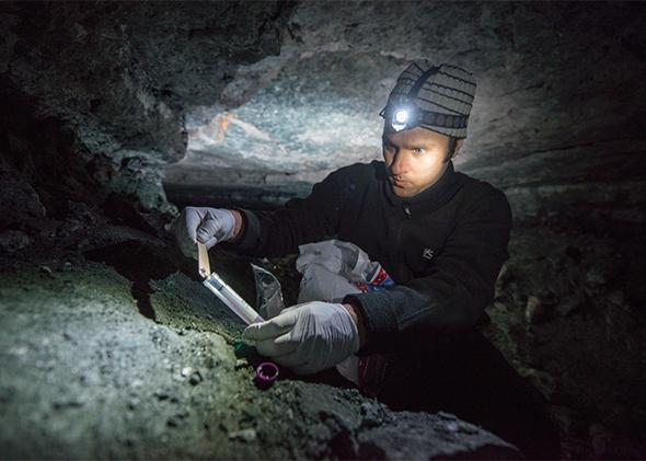Suren Gazaryan taking soil samples from the walls of a cave where bats are hibernating over the winter. The soil samples will be tested for an infectious diseases that is spreading among bats.