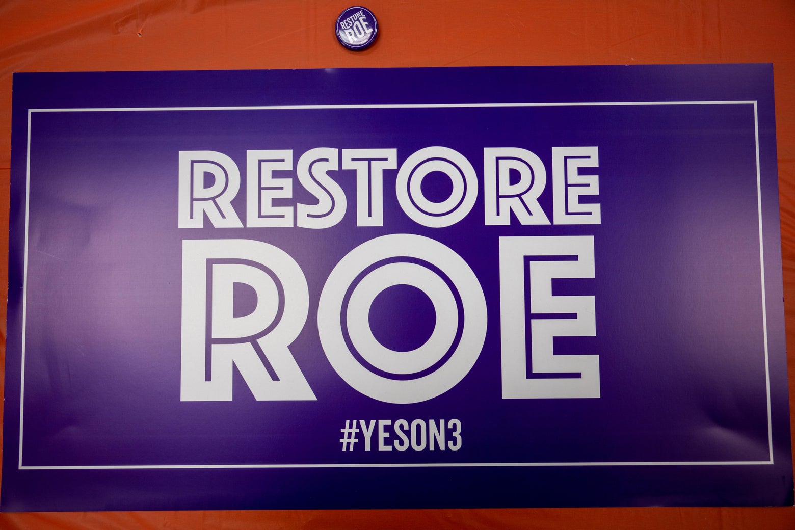 The Supreme Court Said Abortion Wasn&rsquo;t Part of the Constitution. So Women Wrote it Into Theirs.