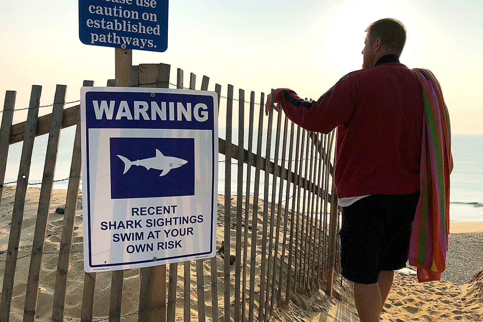A shark warning sign is seen on a fence on a beach as a man stands looking out at the water.