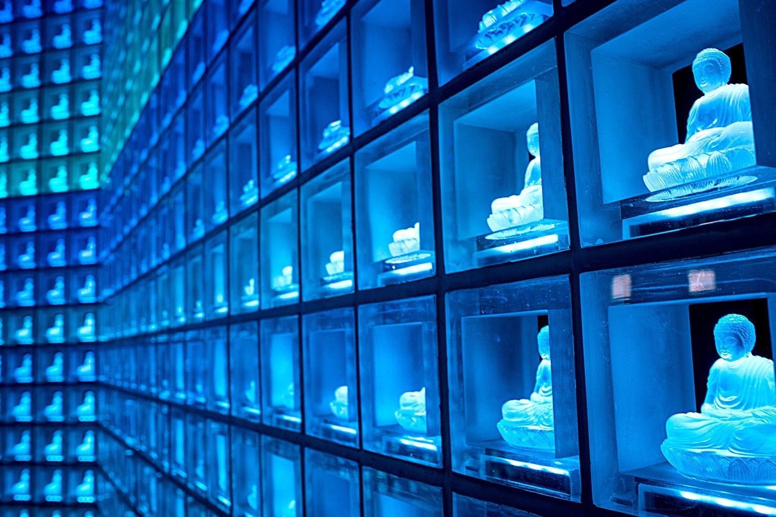 Rows and rows of glass Buddha statuettes in square altars lit up on a wall