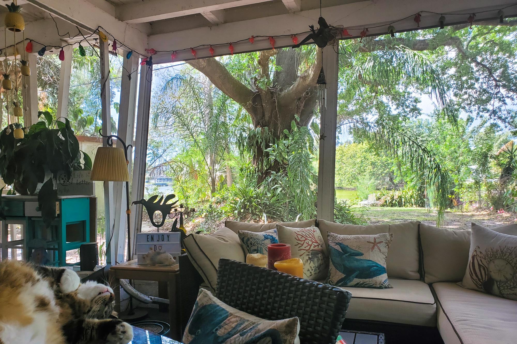 A cat enjoys a nap in front of a view of a lush garden.