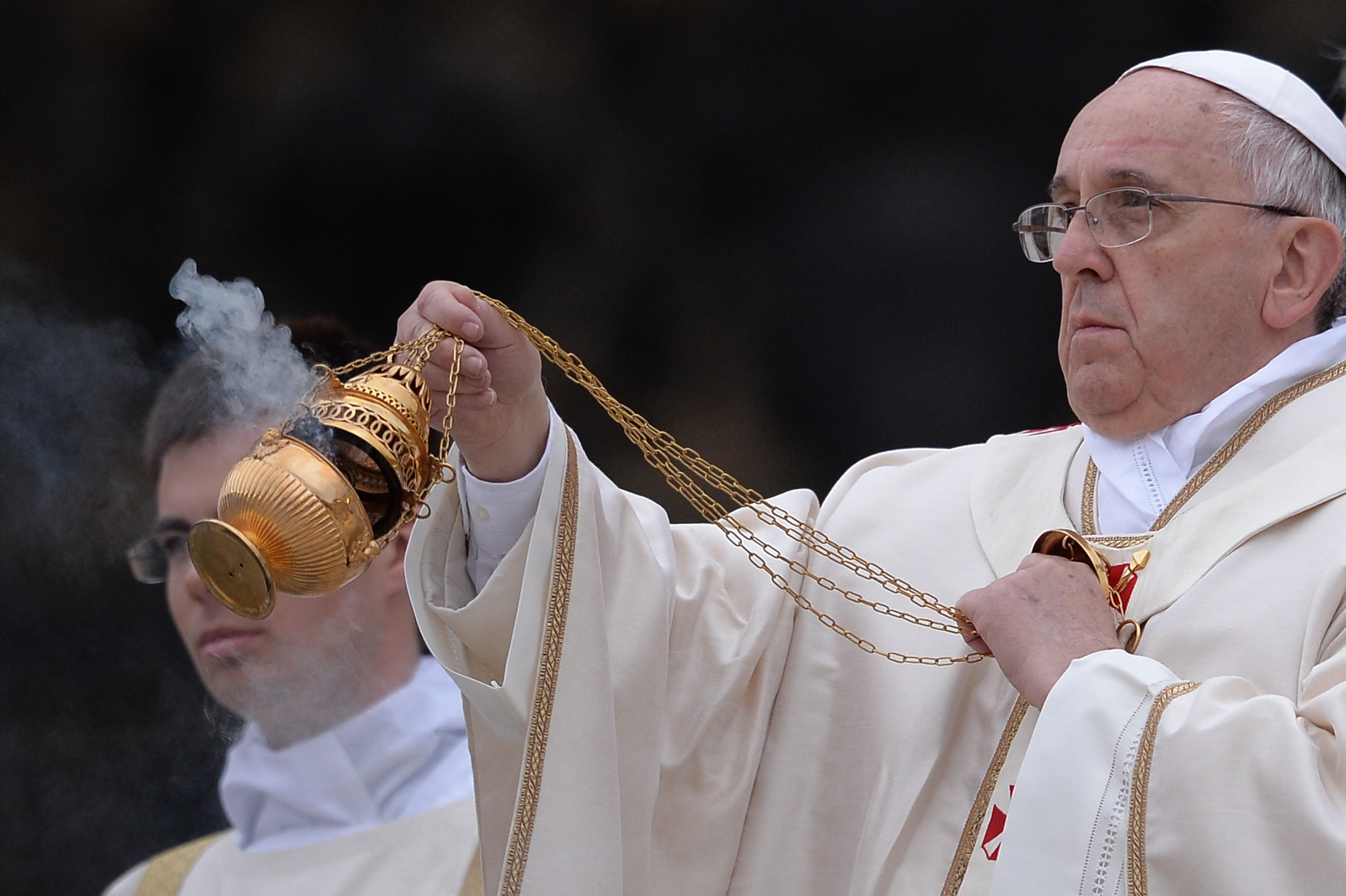 バラ　大苗　断捨離　Pope John Paul Ⅲ Pope Francis: Popes John Paul II and John XXIII declared saints.