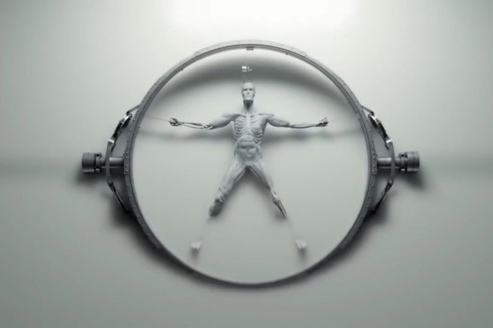 The muscular proto-form of a human from the Westworld opening credits. Picture a human skeleton covered in white muscles, attached to a circular frame and being lowered into an opaque white pool.