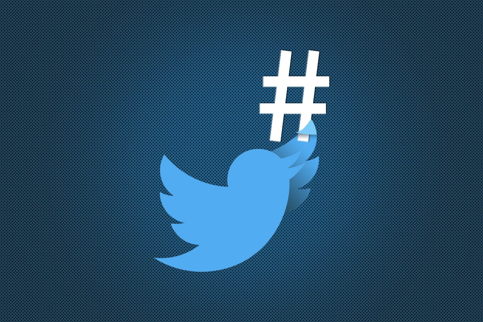 A Twitter bird is seen flying near a hashtag symbol.