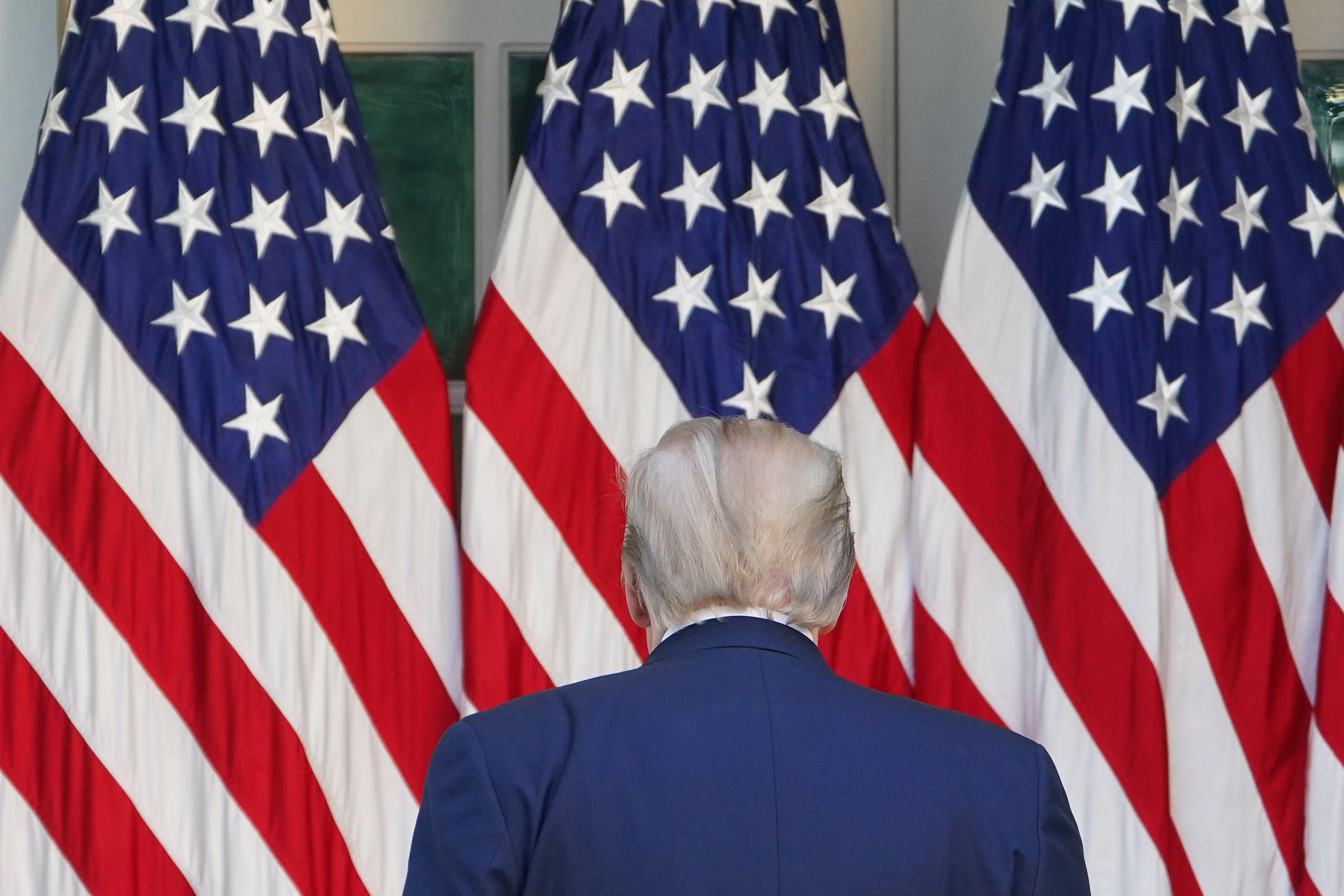 President Donald Trump's back is seen as he faces some American flags.