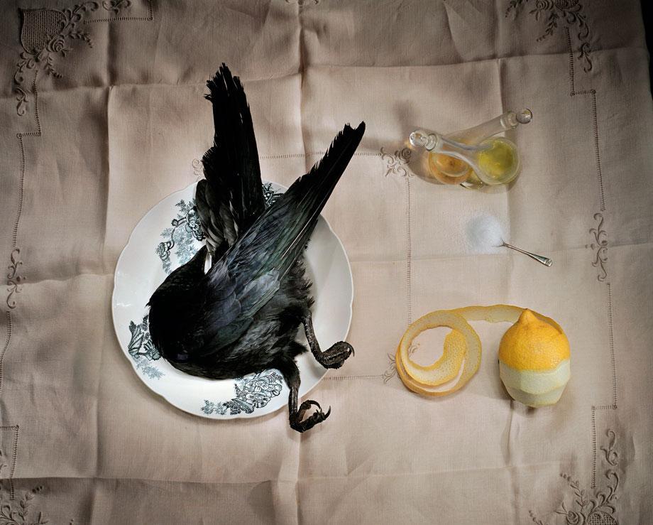 Marian Drew Still Life / Australiana (2003-2009) Crow with salt.