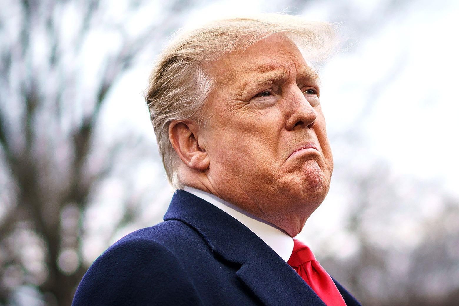 Appetite for Obstruction