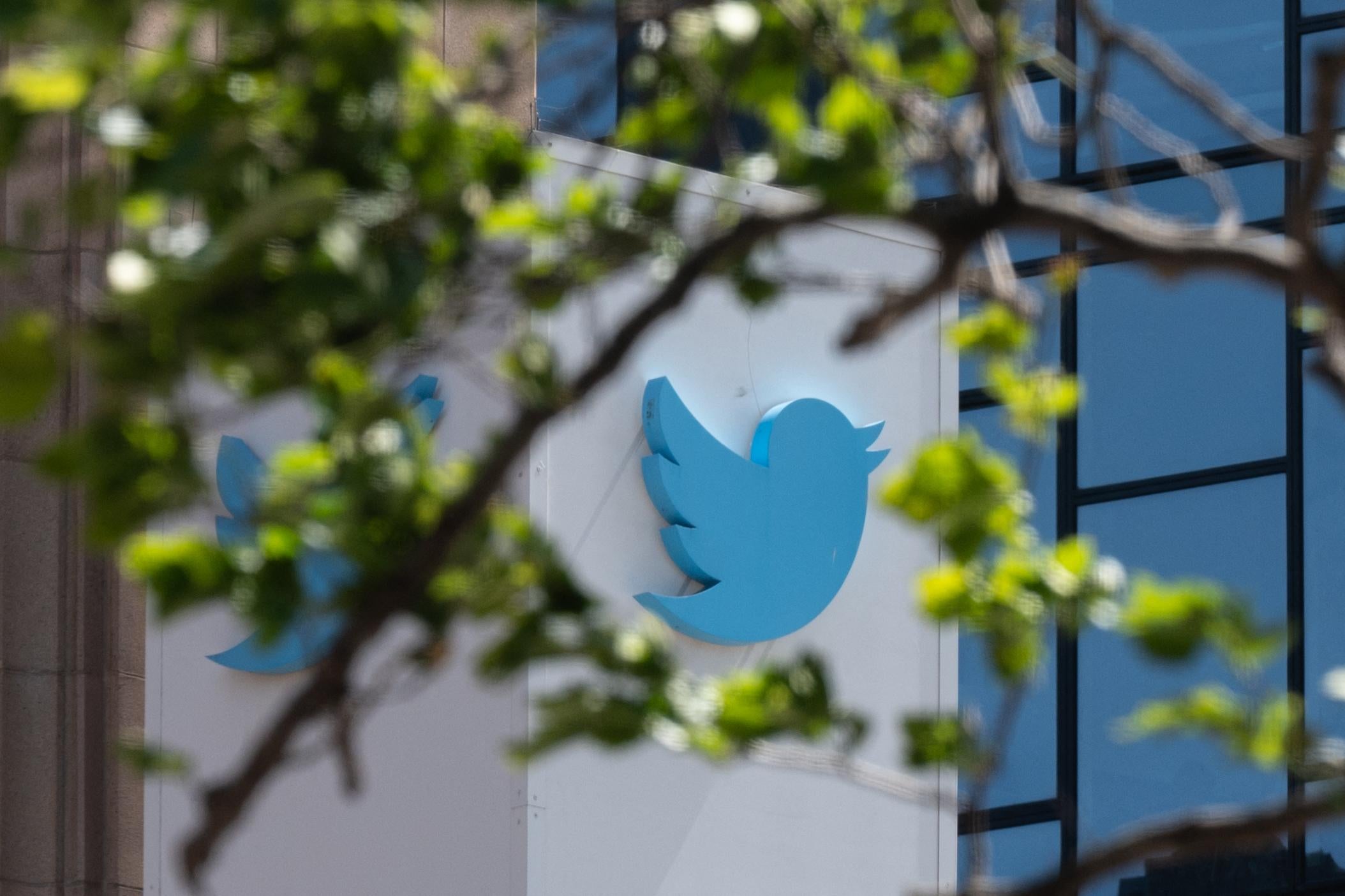 The Twitter bird logo on the side of a building, viewed through tree branches.