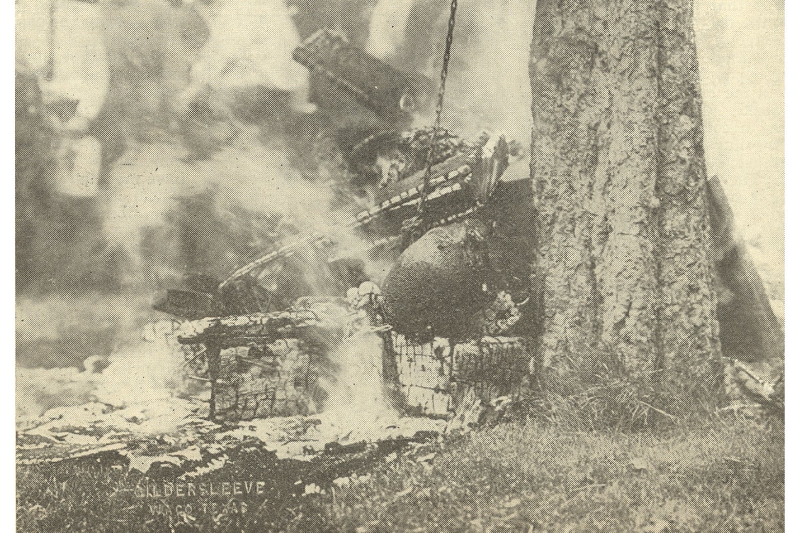 Jesse Washington's charred corpse.