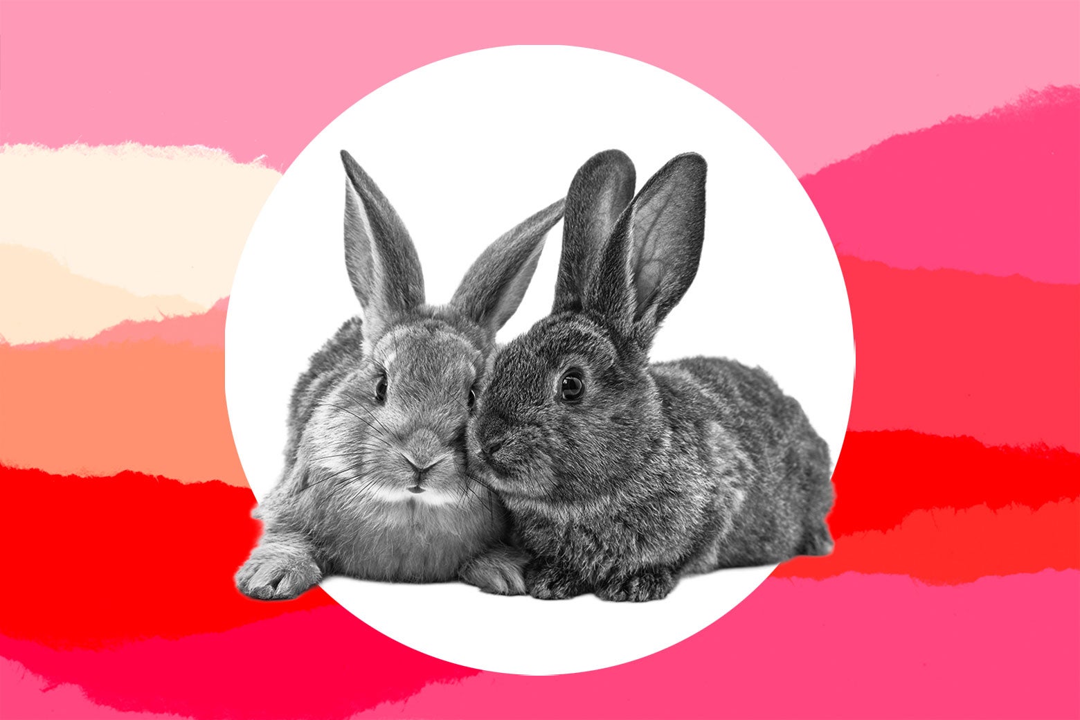 My In-Laws Gave My Daughter an Outrageous Gift. Then I Found Out My Husband Conspired With Them Against Me.