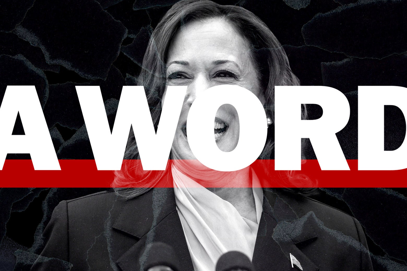 “Kamalot” Versus “Cat Lady”: Could Sexism and Racism Kill Harris’s Vibe? “Kamalot” Versus “Cat Lady”: Could Sexism and Racism Kill Harris’s Vibe?