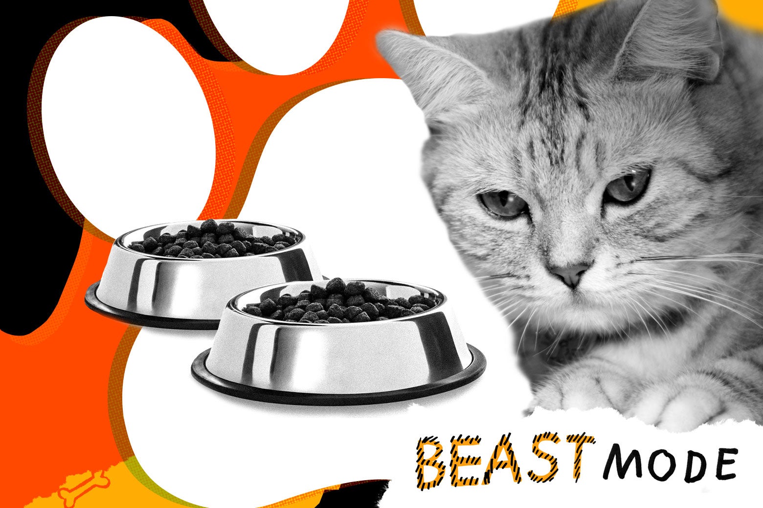 Photo illustration of a stoic-looking cat sitting in front of two pet bowls filled with cat food.