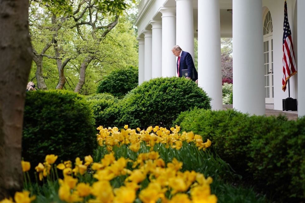 Trump walking between White House columns, with Rose Garden bushes and flowers in the foreground
