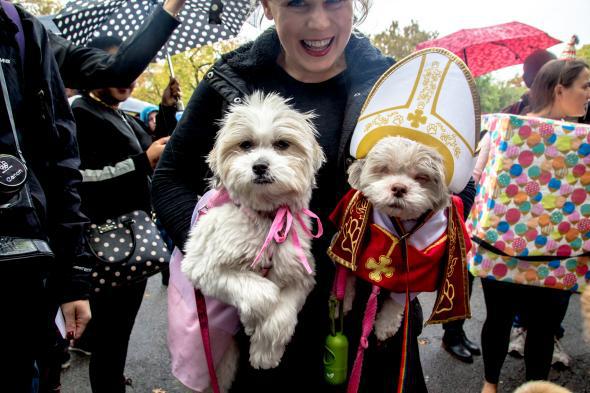 pope costume for dogs