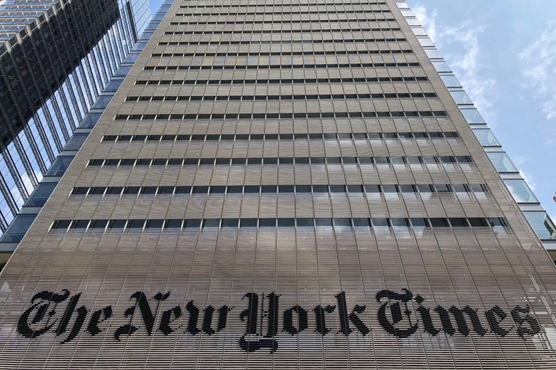 Update The Times Found A Bedbug In The Office