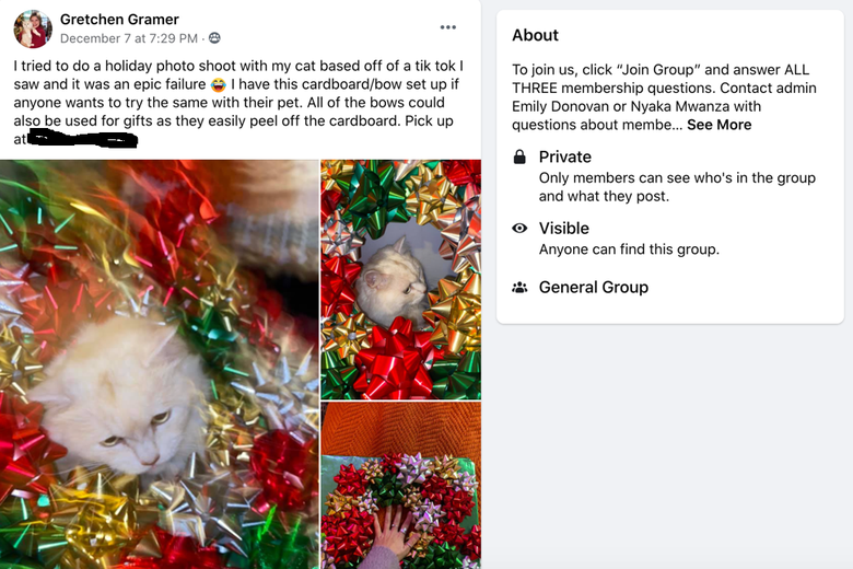 A Facebook post on a Buy Nothing group on Facebook featuring a cat inside a bow wreath. Festive!