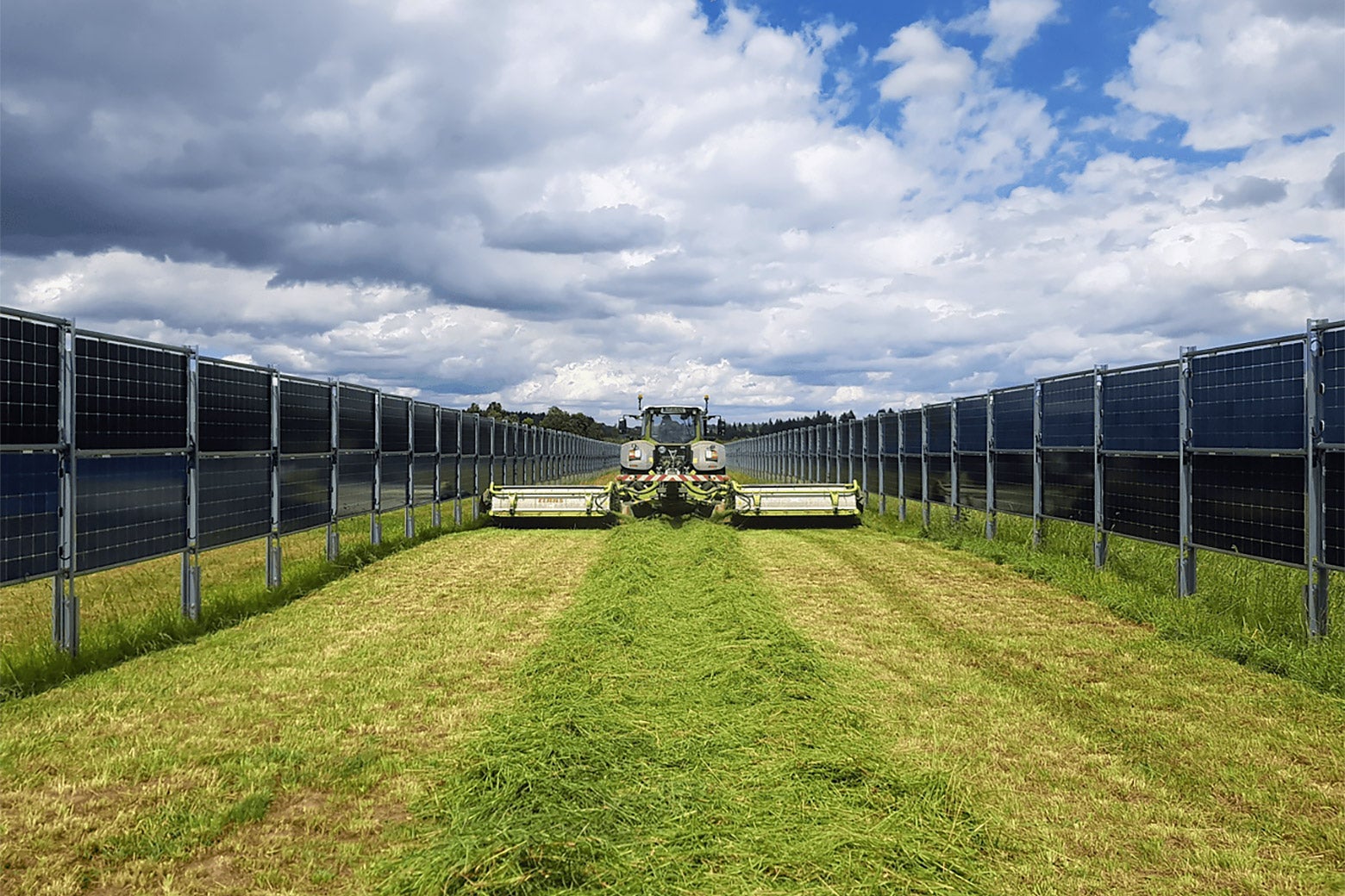 Farmers grow hay between solar fences in Donaueschingen, Germany.
