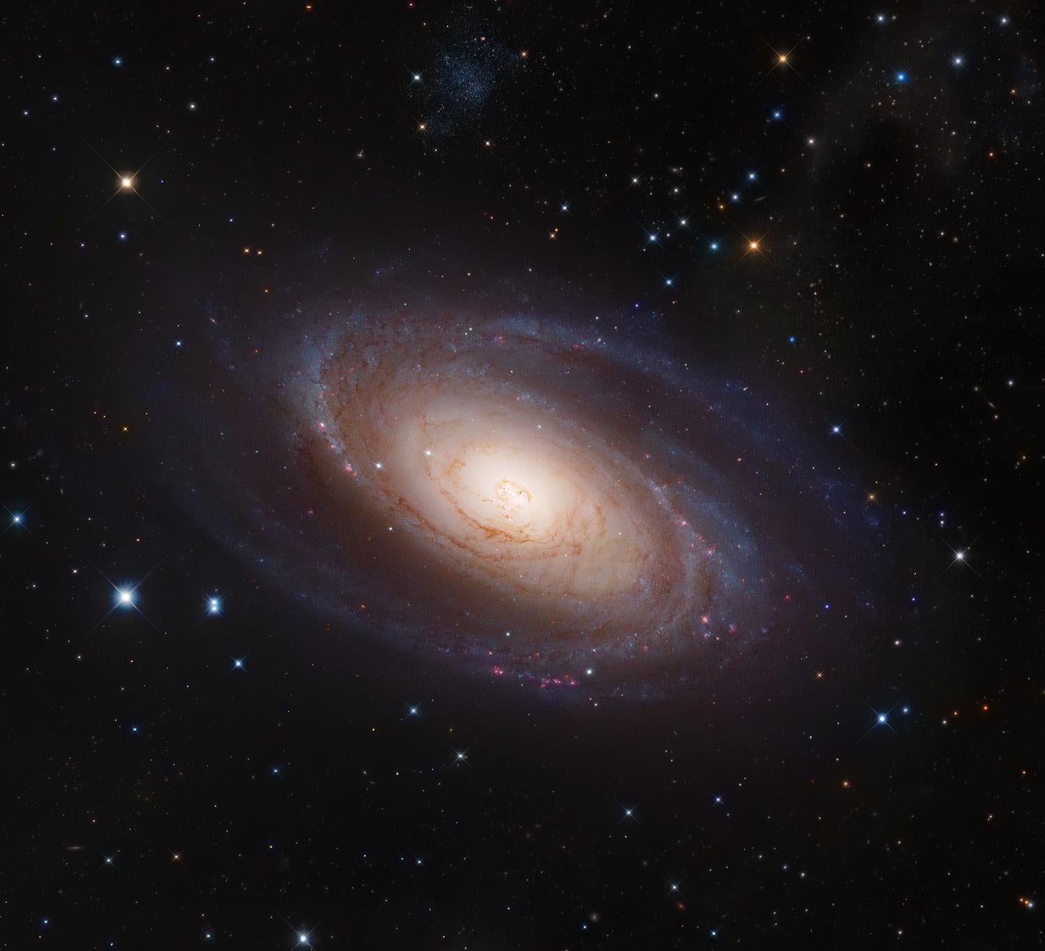 Spiral Galaxy M81 Photograph By Robert Gendler
