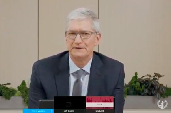 Screenshot of Tim Cook testifying remotely.