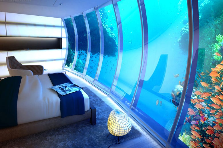 A 50 000 A Night Underwater Hotel Room In The Maldives