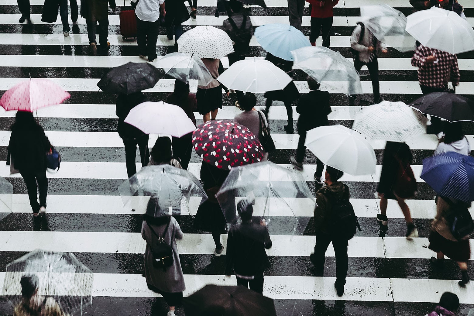 People holding umbrellas as they cross a crosswalk
