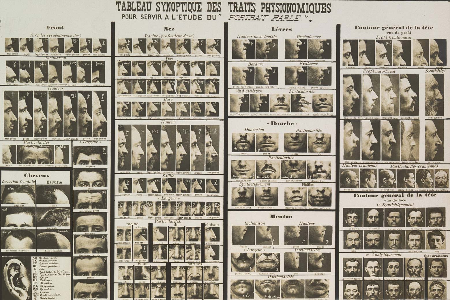 One of Bertillon’s tables of physiognomic features for study.