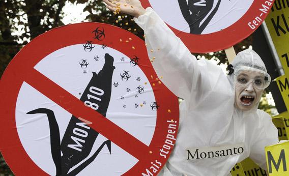 An activist protests a request by US biotech giant Monsanto against Germany's decision to ban a type of genetically modified maize, MON 810, manufactured by the company. 