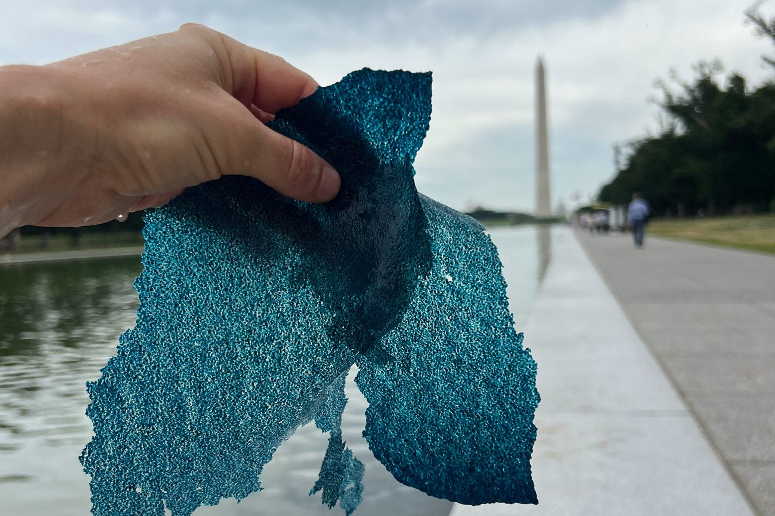 I Went to Trump’s New Reflecting Pool. I Found Something Floating. Then I Drowned in Metaphors.