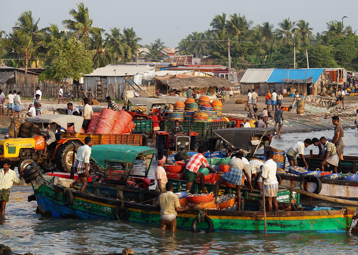 Smaller 'country boats' with outboard engines come into harbor with a far smaller catch.