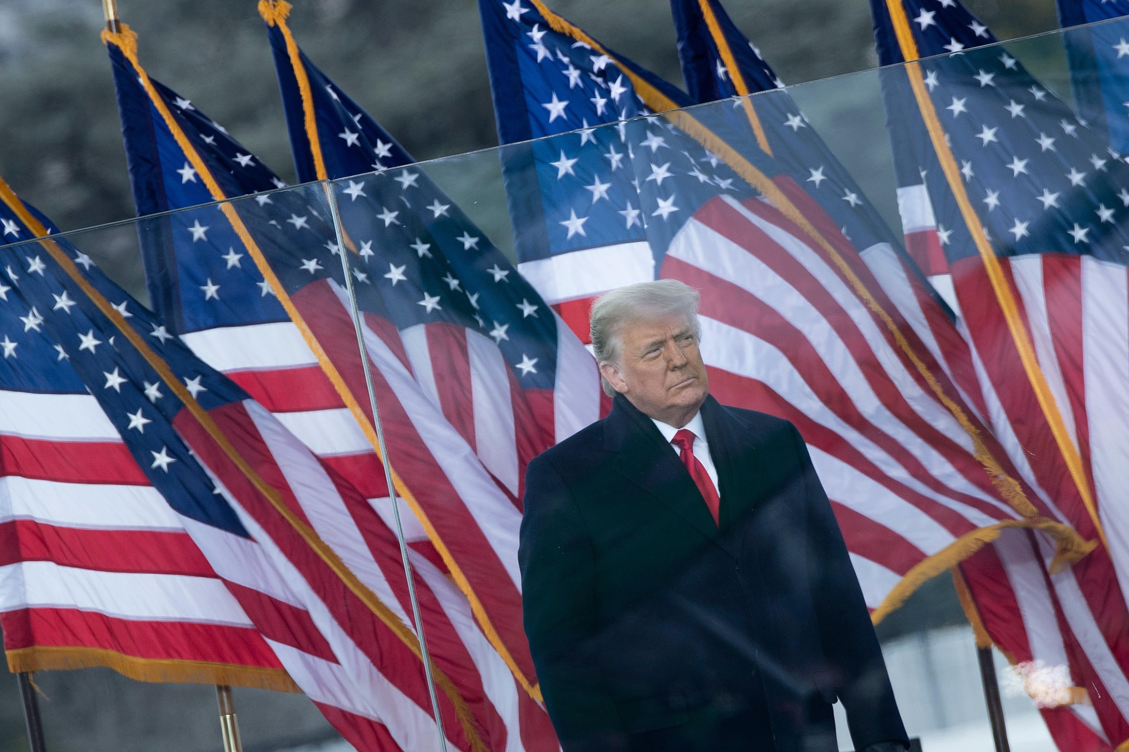 Donald Trump looks stern in an overcoat standing at the Ellipse with a row of American flags behind him