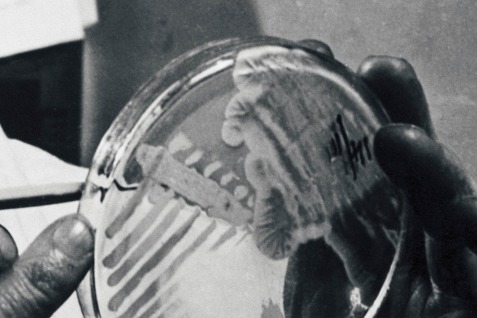 A black and white image of hands holding a Petri dish with  penicillin mold in it.