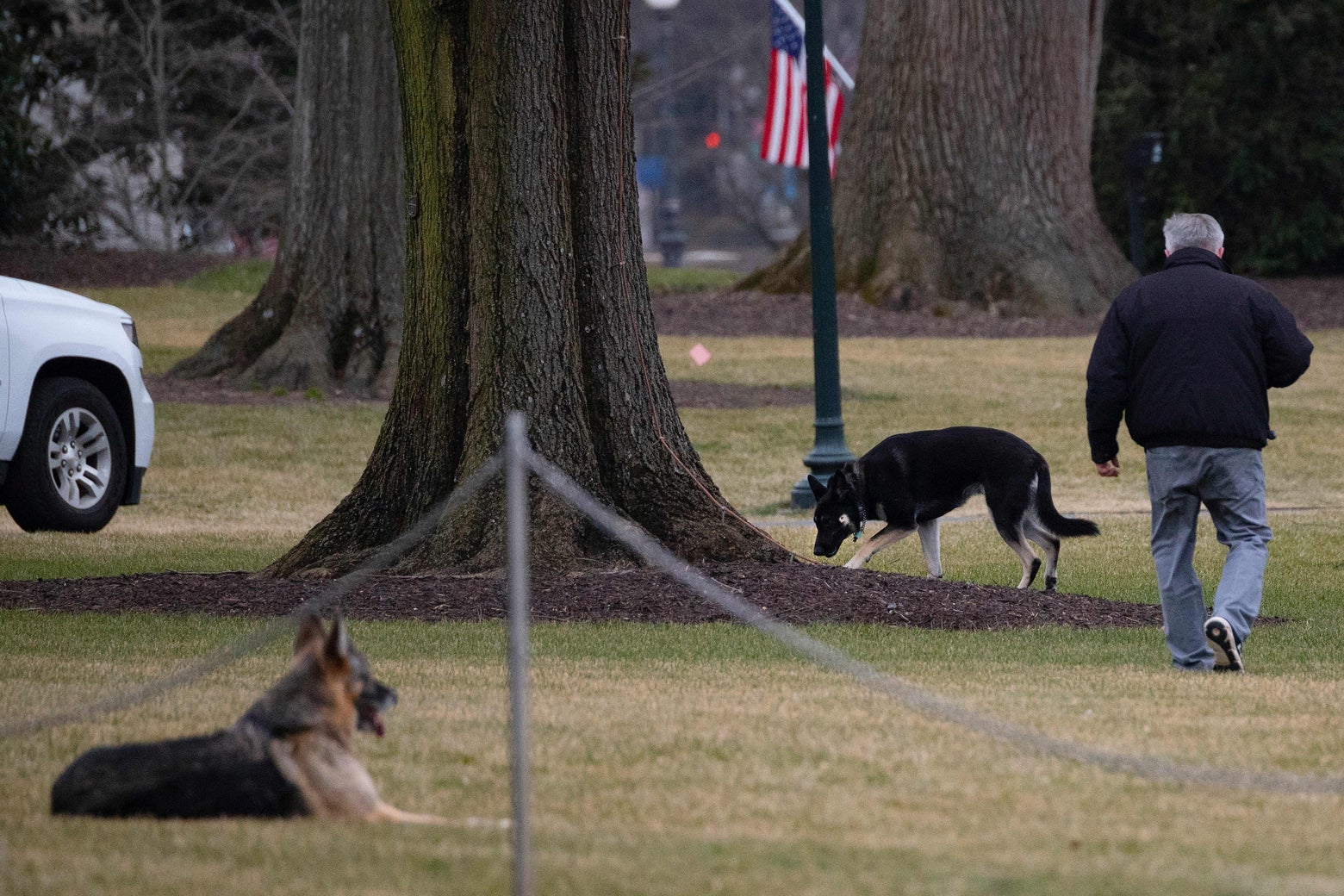 Newsmax Host Mocks Joe Biden's 'Junkyard' Dog: 'This Dog Needs a Bath'  (Video) - TheWrap