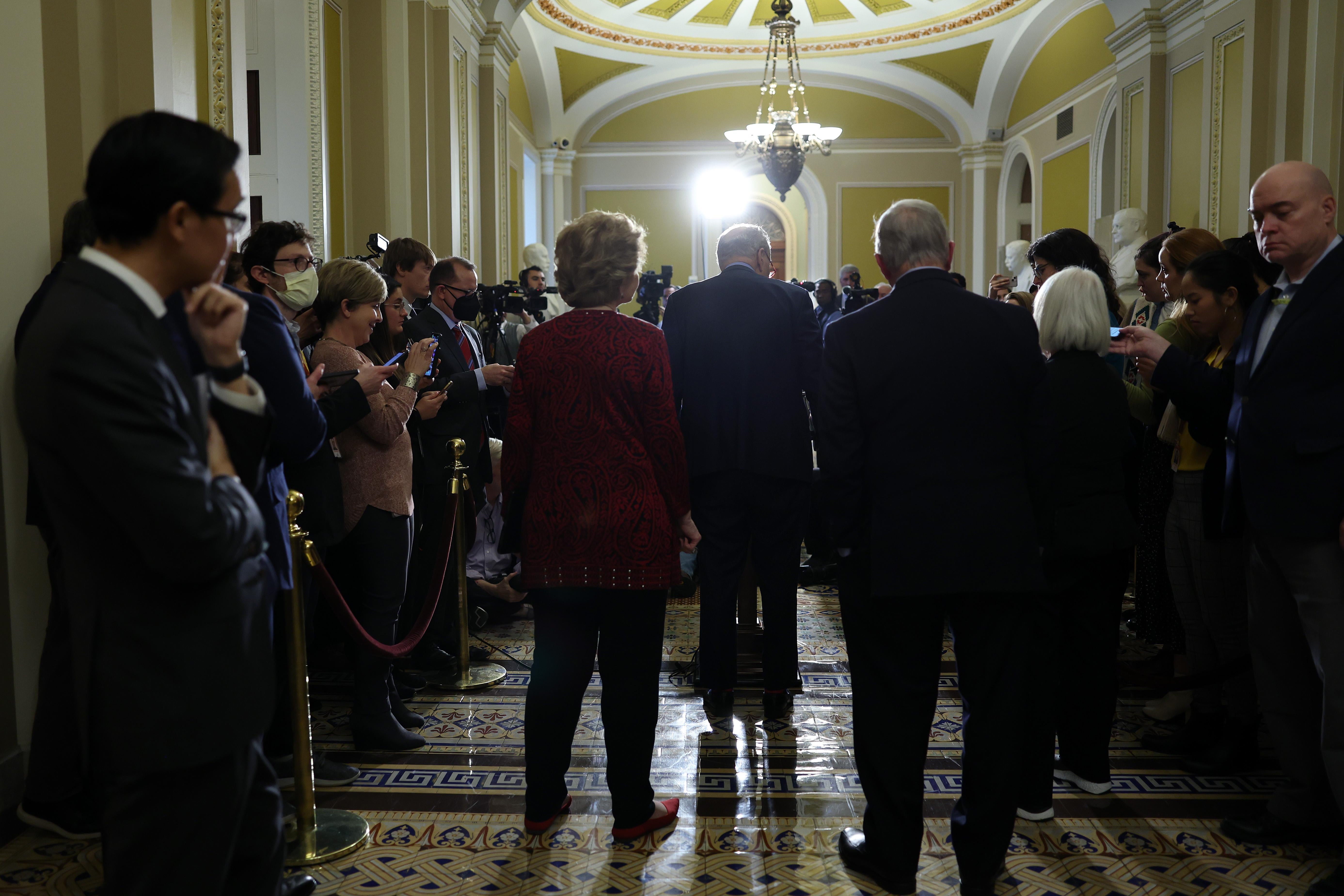 U.S. Senate Majority Leader Charles Schumer speaking to reporters Monday. He is photographed from the back. 