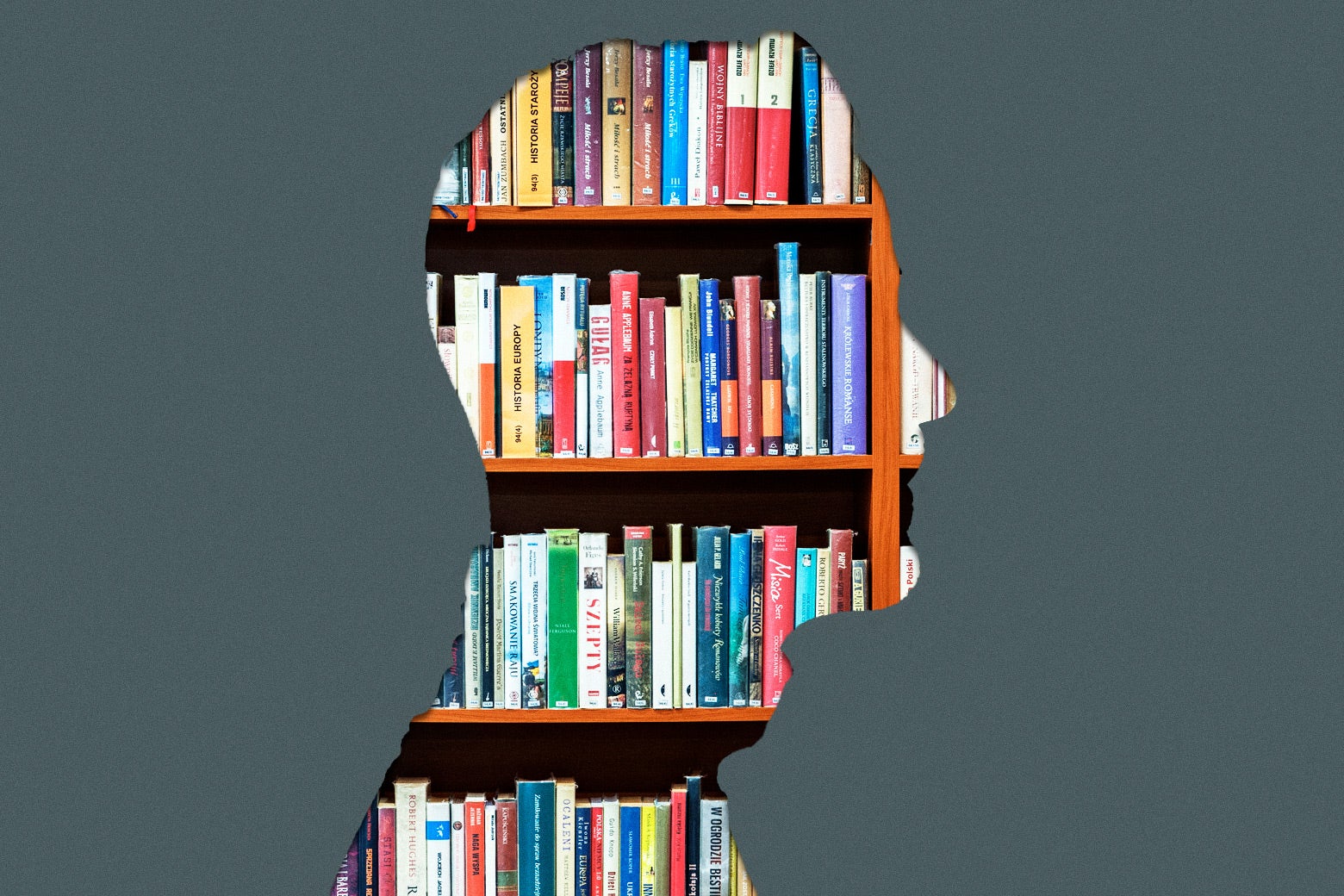 An outline of a person in profile, with the outline filled with books.