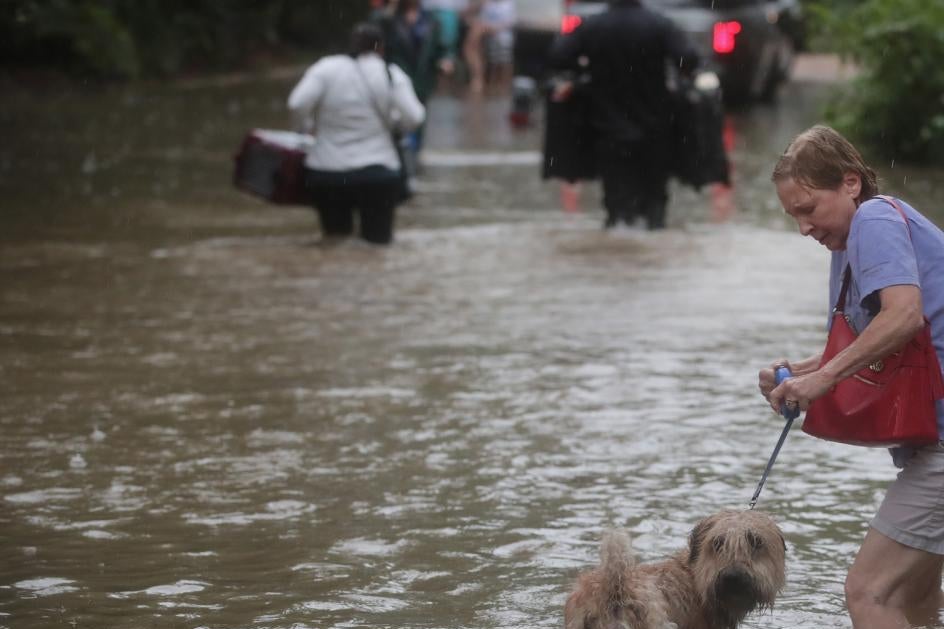 A woman and her dog walk through floodwaters.